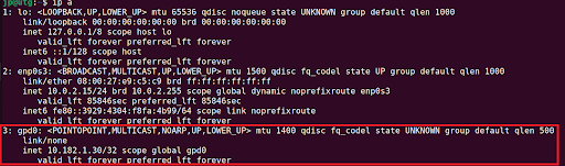 Linux Verify your connection by checking the IP address assigned to the “gpd0” interface, screenshot