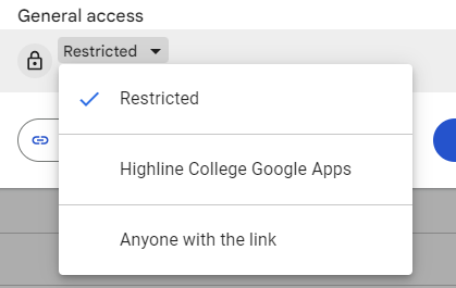 Google Drive File Share Access options