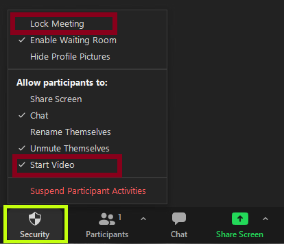 Zoom Security Icon, Lock Meeting, Start Video, screenshot