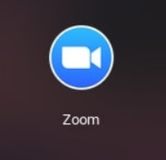 zoom icon on chromebook